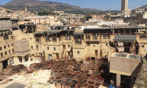 Chouara Tannery